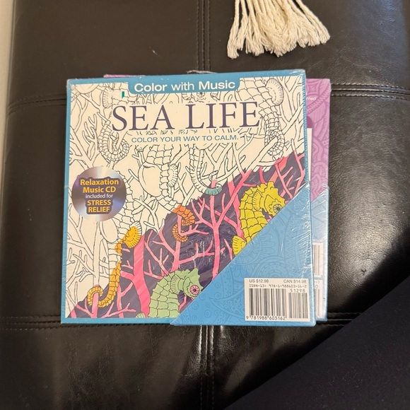 Color with Music 🎶 Coloring Books with Music CD - Blue and Pink - Picture 4 of 5